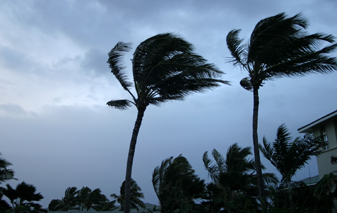 Hurricane Preparedness and Recovery